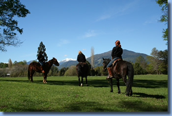 Im Paddock beim Kurs : Wanderreiten in Chile